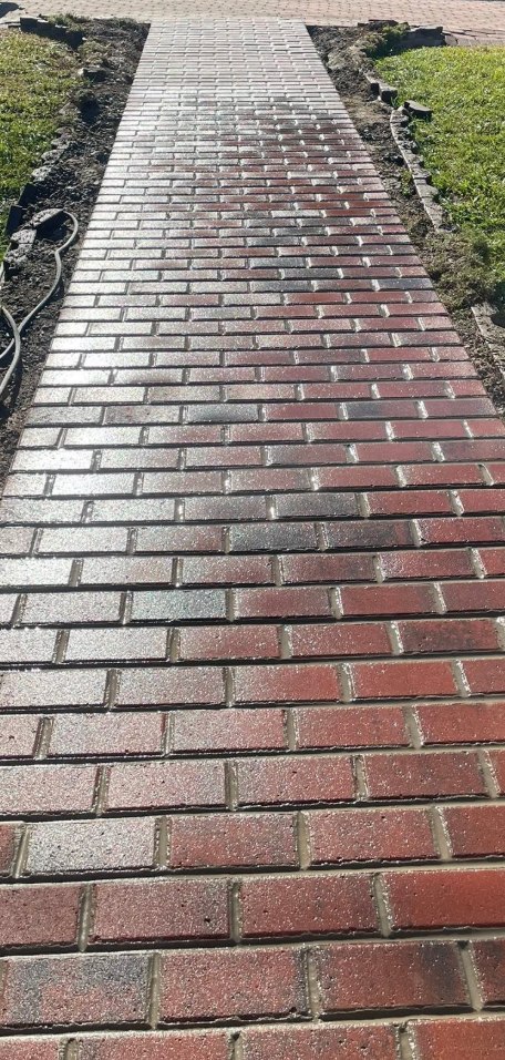 Brick paver walkway photographed wet, running the length of a lawn